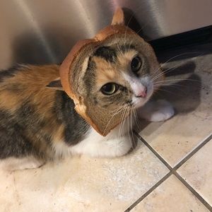 Meet your Posher, Kaitlyn